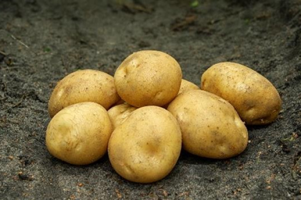 Batata-Balder
