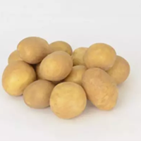 Batata-Gerona
