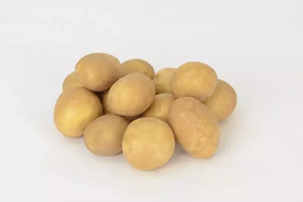 Batata-Gerona