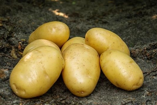 Batata-Inova