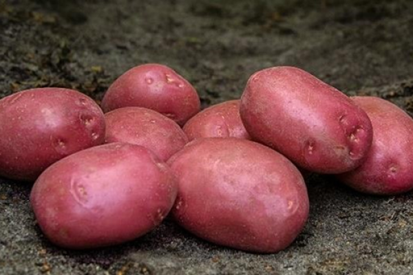 Batata-Senna