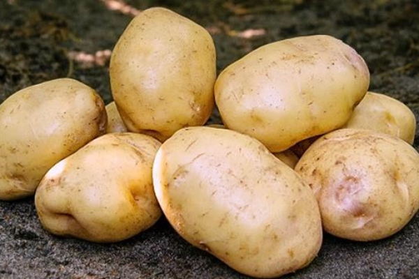 Batata-Ydun