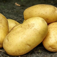 Batata-cimega
