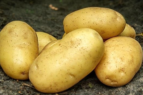 Batata-cimega