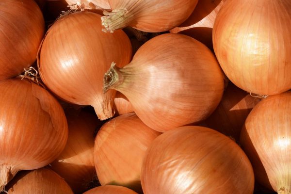 Cebola amarela