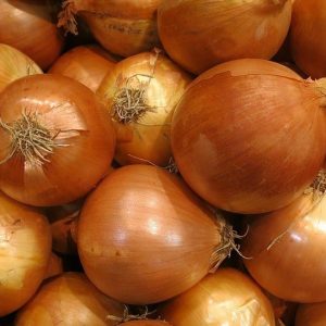 aprenda-quais-os-tipos-de-cebola-ideais-para-cada-prato