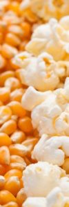 milho-pipocas